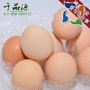 千品源宝中宝土鸡蛋 生态养殖新鲜禽蛋 农家蛋 营养丰富 味道鲜美