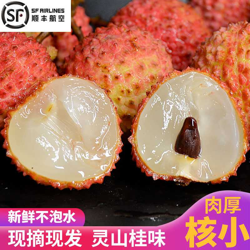 广西灵山桂味荔枝 新鲜水果 2kg